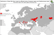 West Nile fever transmission season 2014 - Distribution of West File fever cases by affected areas European region and Mediterranean basin Thumbnail
