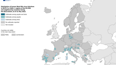 West Nile virus outbreaks among equids and birds, 2022 transmission season