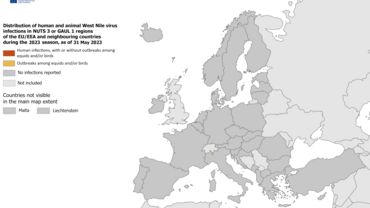 West Nile virus in Europe in 2023 - infections among humans and outbreaks among equids and/or birds, updated 31 June 2023