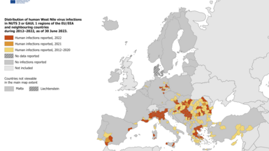 West Nile virus infections in humans 2012-2022