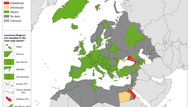 Aedes aegypti - current known distribution: May 2024