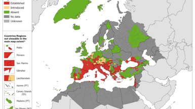 Aedes albopictus - current known distribution: July 2024