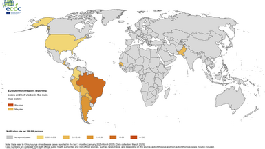 Chikungunya-3-months-rate-map-march-2025
