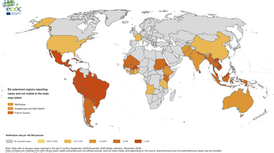 Three-month dengue virus disease case notification rate per 100 000 population, September-November 2025