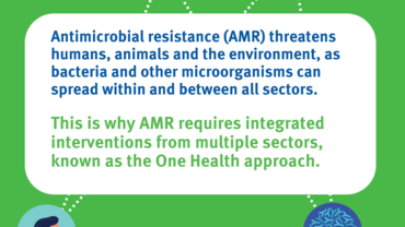 Social media card: One Health approach to antimicrobial resistance
