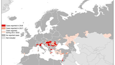 Map - West Nile fever in Europe in 2018 - human cases compared to the previous season; updated 24 August