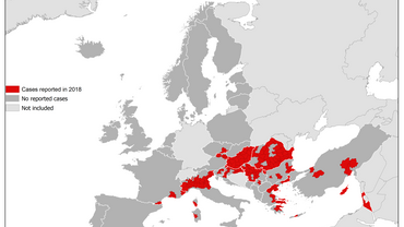 Map showing the distribution of West Nile virus in humans by affected areas in EU/EEA Member States and EU neighbouring countries