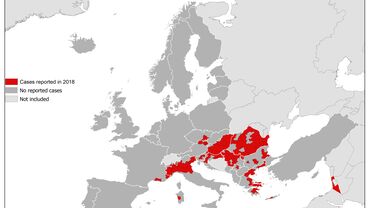 West Nile fever in Europe in 2018 - human cases; updated 12 October Thumbnail
