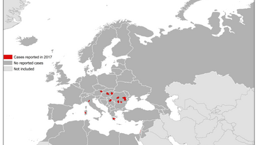 West Nile fever in Europe in 2017; updated 25 August