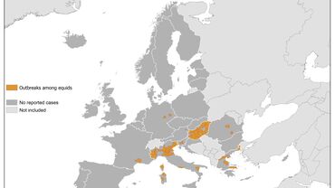 West Nile fever in Europe in 2018 - equine cases; updated 12 October Thumbnail