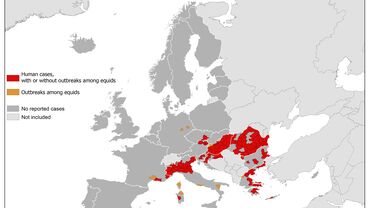 West Nile fever in Europe in 2018 - human and equine cases; updated 12 October Thumbnail