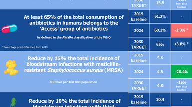 Infographic showing the progress to achieve the EU AMR targets for 2030