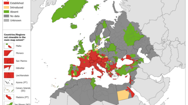 Aedes Invasive map