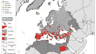 Rhipicephalus sanguineus - current known distribution: May 2020