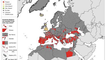 Rhipicephalus sanguineus - current known distribution: September 2021