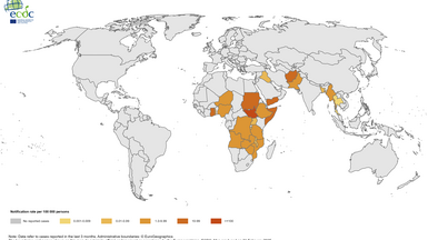 Geographical distribution of cholera cases reported worldwide from December 2024 to February 2025