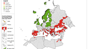 Hyalomma marginatum - current known distribution in Europe, January 2018
