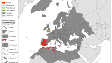 Hyalomma lusitanicum - current known distribution: October 2023