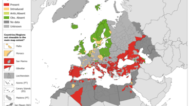 Hyalomma marginatum - current known distribution: October 2023