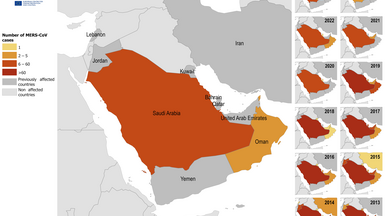 Distribution of confirmed cases of MERS by place of infection and year of onset, January 2013 – November 2025