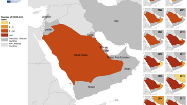 Distribution of confirmed cases of MERS by place of infection and year of onset, January 2013 to April 2025