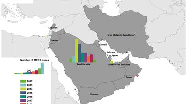 Geographical distribution of confirmed MERS-CoV cases by country of infection and year