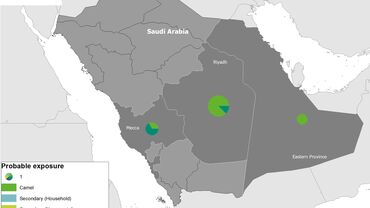 Geographical distribution of confirmed MERS-CoV cases, 1 January 2021 to 3 November 2021