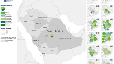 Geographical distribution of confirmed cases of MERS in Saudi Arabia by probable region of infection and exposure, with dates of onset from January 2013 to September 2025