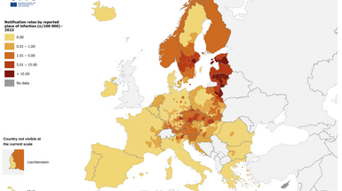 Notification rates of locally-acquired cases reported for 2023