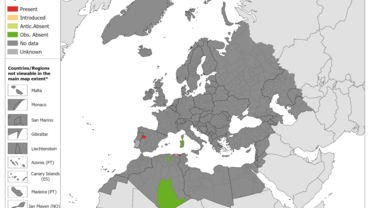 Ornithodorus erraticus - current known distribution: October 2023