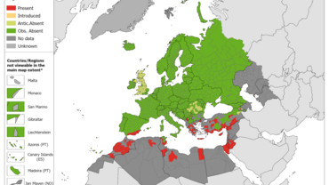 Phlebotomus alexandri - current known distribution: August 2023