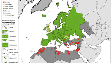 Phlebotomus alexandri - current known distribution: March 2021