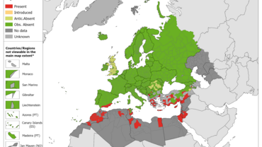 Phlebotomus alexandri - current known distribution: February 2023