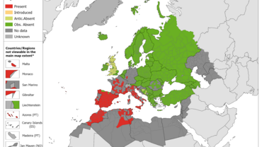 Phlebotomus perniciosus - current known distribution: October 2023