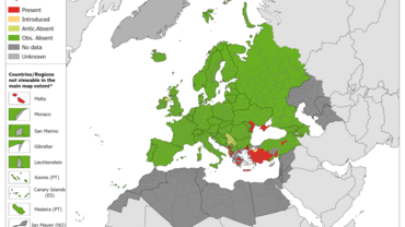 Phlebotomus similis - current known distribution: October 2023