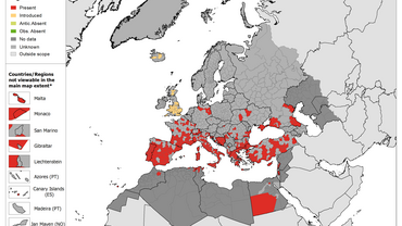 Rhipicephalus sanguineus - current known distribution: October 2020