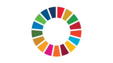 SDG logo wheel