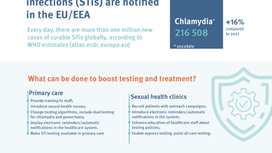 STI Infographic 2024