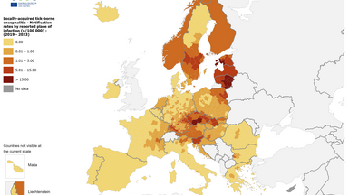 Notification rates of locally acquired cases reported for 2019-2023