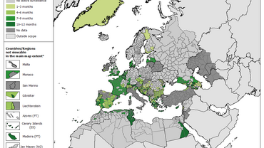 Seasonal active surveillance for invasive mosquitoes over 2017–2019