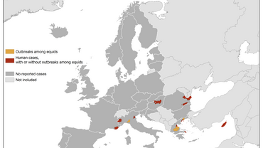 West Nile virus in Europe in 2019 - human and equine cases, updated 8 August
