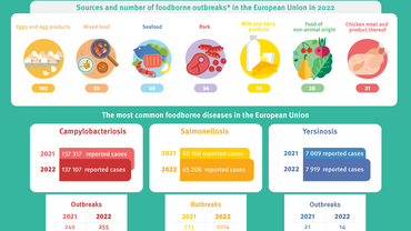 Food safety infographic