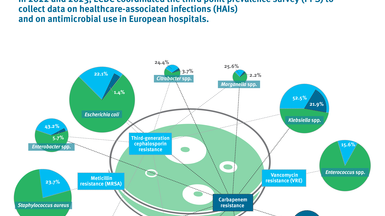 Antimicrobial resistance of microorganisms reported in healthcare-associated infections (HAIs)