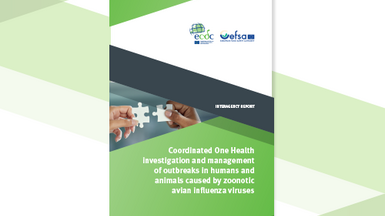 Coordinated One Health investigation and management of outbreaks in humans and animals caused by zoonotic avian influenza viruses