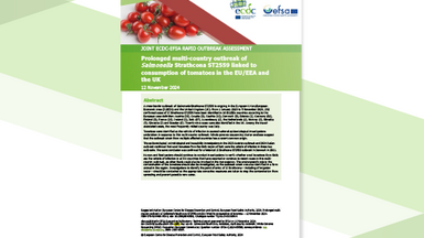 Cover of rapid outbreak assessment