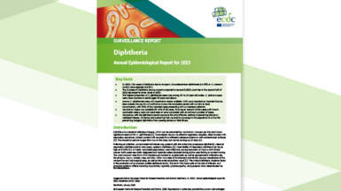 diph_AER_2023_Report-cover