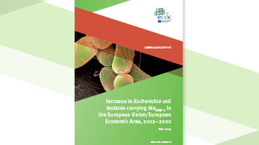 Increase in Escherichia coli isolates carrying blaNDM-5 cover