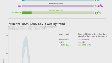 Weekly respiratory virus update, week 40, October 2025