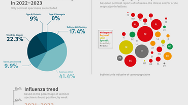 Influenza infographic, week 14 2023