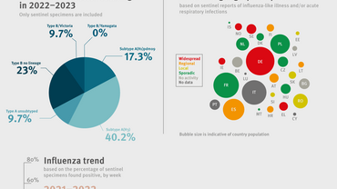 Influenza infographic, week 18 2023